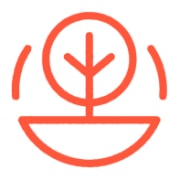 Kapha-Dosha-ayurveda